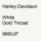 Preview: Harley-Davidson, White Gold Tricoat, 9860JP.